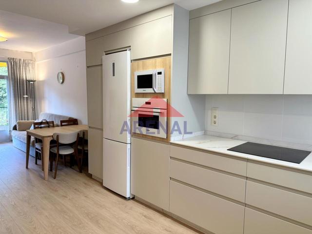 TEMPORADA. APARTAMENTO 2 DORM Y TERRAZA. PLAYA CABANAS photo 0