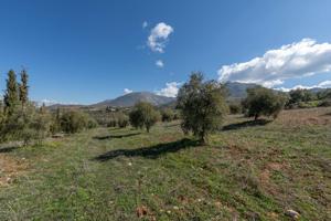 Terreno rústico en Cogollos Vega, con toma de luz y agua en la entrada photo 0