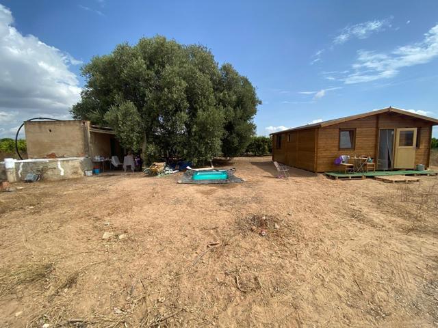 ¡FINCA RÚSTICA DE 6810 METROS CON CASITA DE APEROS Y CASA DE MADERA SÚPER ACOGEDORA!!! photo 0