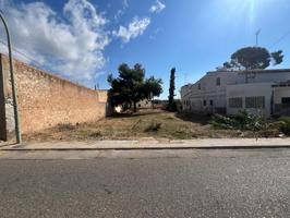 SOLAR URBANO PARA EDFICIAR TU VIVIENDA EN LES CASES D' ALCANAR! photo 0
