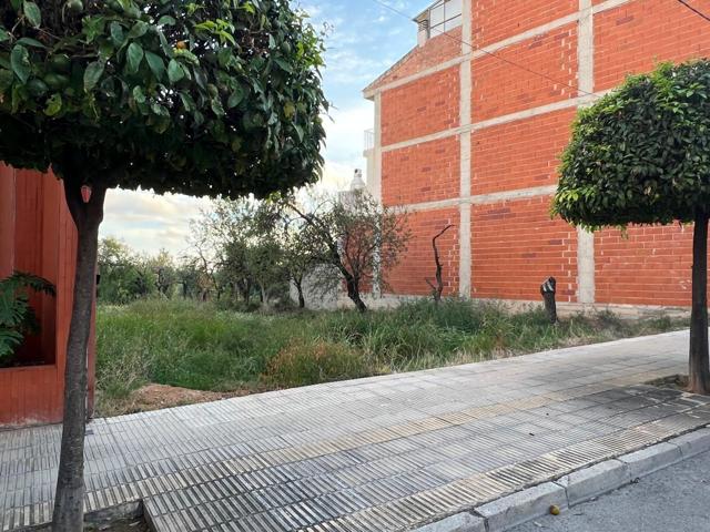 SOLAR EN VENTA EN AVENIDA CATALUNYA! photo 0
