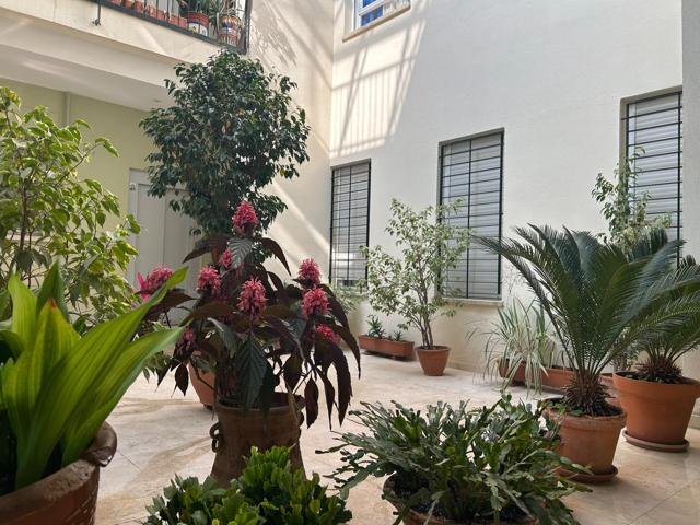 Tu vivienda en el centro de Sevilla con garaje y trastero photo 0