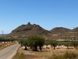 Parcela rústica en Jimena, Jumilla photo 0