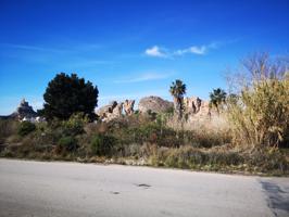 Se vende parcela en la Cueva, Monteagudo. photo 0