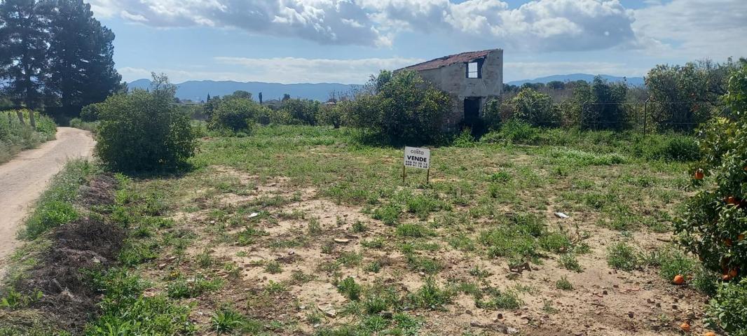 Se vende parcela rustica en Guadalupe. photo 0