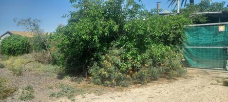 Se vende parcela de cultivo con cuarto en Javali VIejo. photo 0