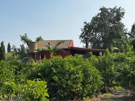 Se vende parcelica de recreo con casa en la huerta de Javali Viejo photo 0