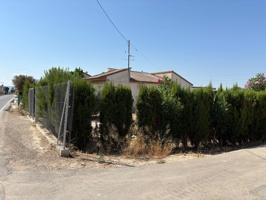 TERRENO URBANO EN VENTA EN ORILLA DEL AZARBE photo 0