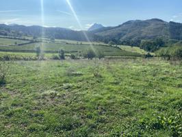 Terreno rural en venta en Abadiño (Barrio Gaztelua) photo 0