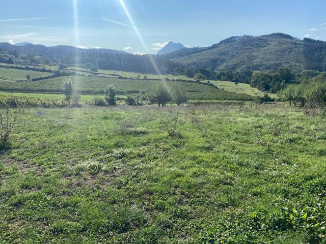 Terreno rural en venta en Abadiño (Barrio Gaztelua) photo 0