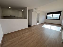 ES LLOGA PIS A PRATS DE LLUÇANÈS photo 0