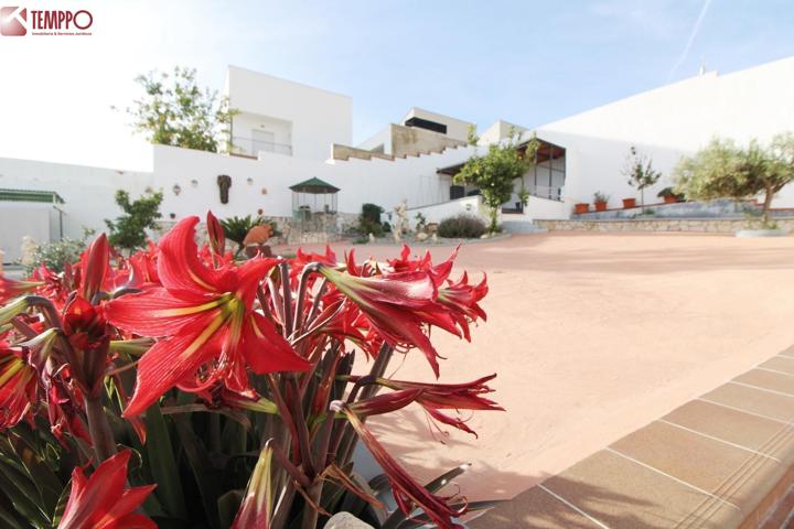 ¡Atención a esta oportunidad única en El Priorato de la Bisbal! photo 0