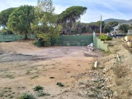 TERRENO EN VENTA EN LAS FALDES DEL MONTSENY photo 0