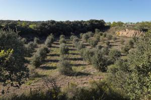 Terreno Urbanizable En venta en Paraje Afueras, Barbastro photo 0