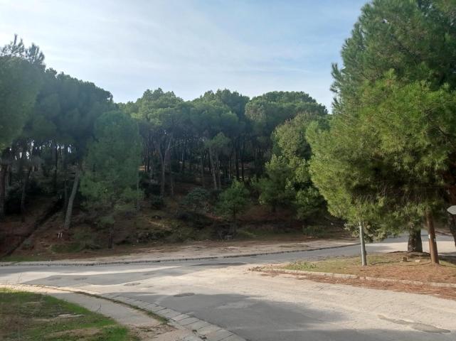 Parcela de 12.000 m2 esquina con C- Jaras photo 0