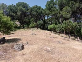 Preciosa parcela urbana en Costa de Madrid con 4680 m2 photo 0