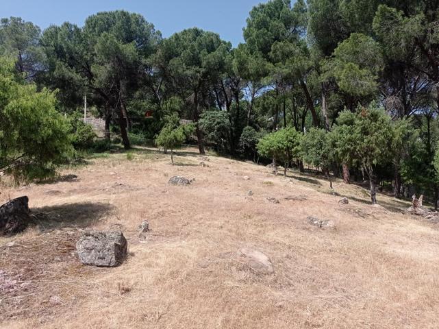 Preciosa parcela urbana en Costa de Madrid con 4680 m2 photo 0