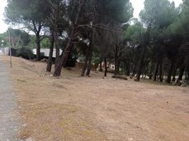 Parcela en zona tranquila de Costa de Madrid photo 0