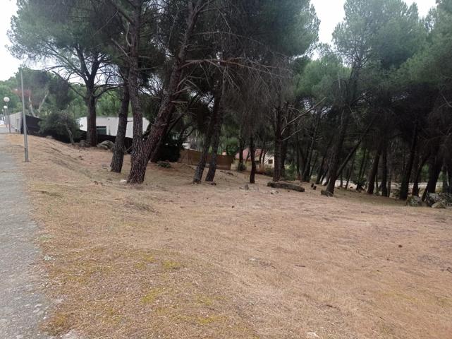 Parcela en zona tranquila de Costa de Madrid photo 0
