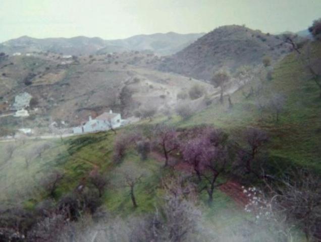 Casa Rural en Almogía photo 0