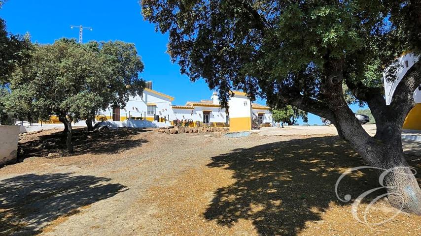 Casa Rústica en venta en Archidona de 337 m2 photo 0