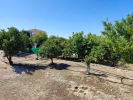¡TERRENO EN VENTA! INCREIBLE TERRENO DE MAS DE 2000 M2 EN EL LLANO DE MOLINA photo 0