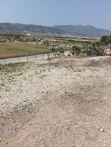 VENTA DE FINCA EDIFICABLE EN YECHAR CON PROYECTO. photo 0