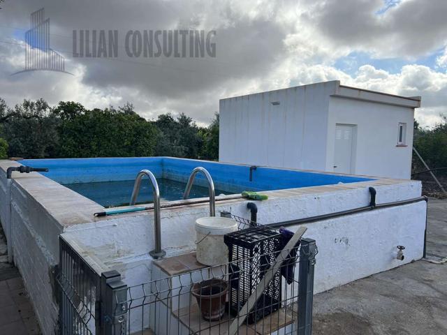 FINCA EN CARMONA, CHALET CON PISCINA photo 0