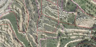 SE VENDE LOTE DE FINCAS EN MONTÓN photo 0