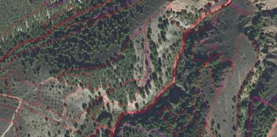 SE VENDE LOTE DE FINCAS EN MONTÓN photo 0