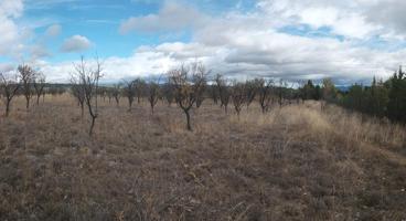 SE VENDE FINCA RÚSTICA PRÓXIMA AL CAMPO DE GOLF photo 0