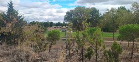 SE VENDE FINCA RÚSTICA PRÓXIMA AL CAMPO DE GOLF photo 0