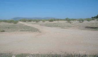 OPORTUNIDAD DE INVERSIÓN EN LOS LLANOS DE SILVA!! photo 0