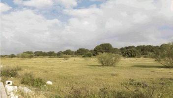 OPORTUNIDAD DE INVERSIÓN EN EL SR22! photo 0