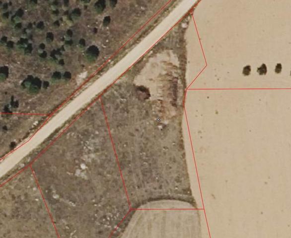 EN VENTA PARCELA DE 2900 m2 A PIÉ DE CARRETERA photo 0