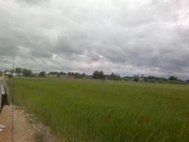 FINCA RUSTICA DE 80 h VIÑA EMPARRADA photo 0