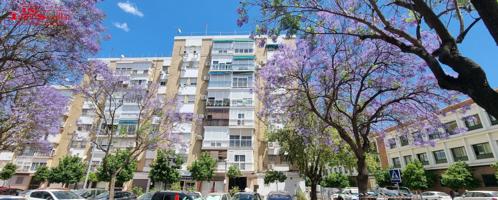 PISO JUNTO SAN VICENTE DE PAUL photo 0