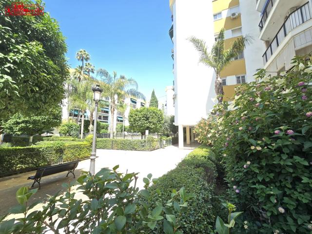 Piso en San Vicente de Paul (Los Comerciales) photo 0
