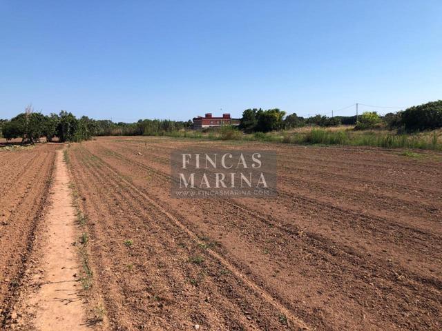 TERRENO AGRÍCOLA EN VENTA photo 0