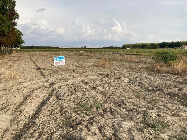 Fínca rústica en Tarquinal Alto, Pinos Puente photo 0