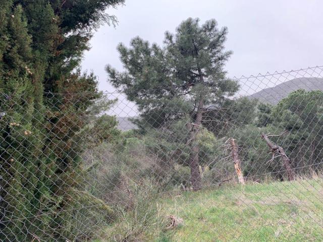 Terreno Urbanizable En venta en Barrio De Los Reyes, San Lorenzo De El Escorial photo 0