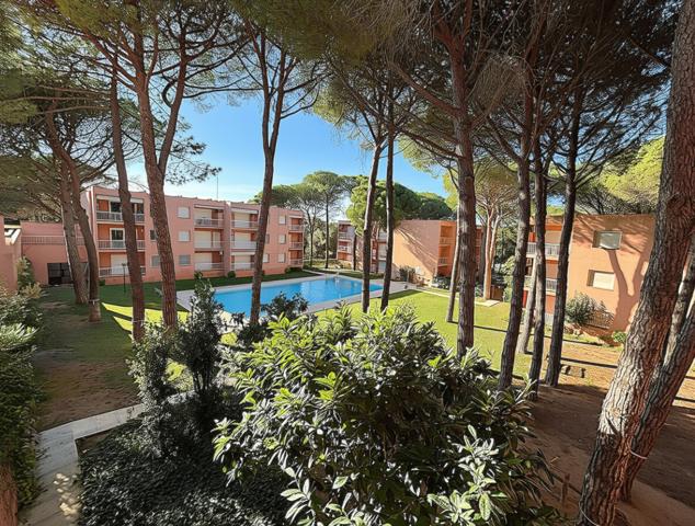 Estudio - Pals photo 0