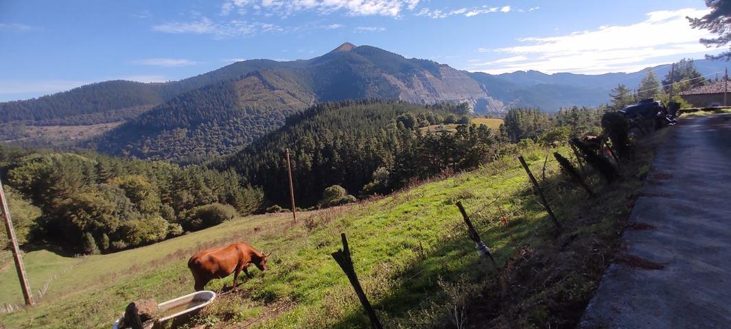 Casa De Campo En venta en Desconocida Aizetza Auzoa, Orozko photo 0