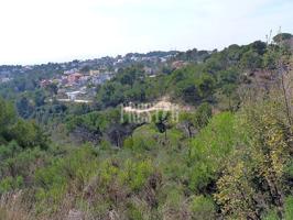 Terreno edificable photo 0