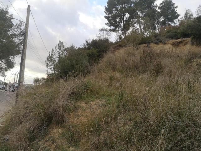 Totalmente urbanizado photo 0