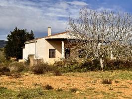 PARCELA RUSTICA AGRARIA CON CASETA EN BENLLOCH. photo 0