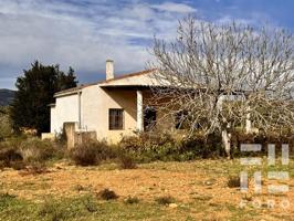 PARCELA RUSTICA AGRARIA CON CASETA EN BENLLOCH. photo 0