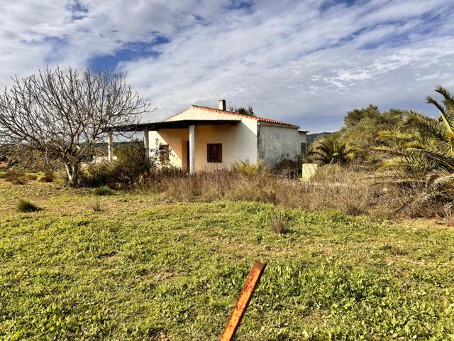 PARCELA RUSTICA AGRARIA CON CASETA EN BENLLOCH. photo 0