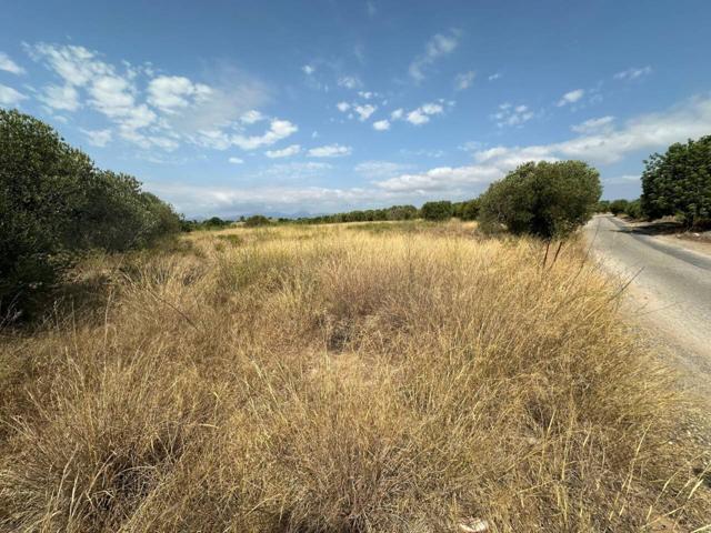 ¡Venta de finca rústica en Vila-seca! photo 0