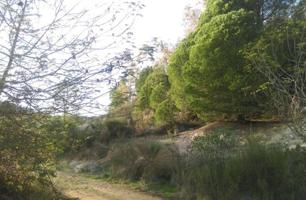 TERRENO EN VENTA EN POLIGONO ALTO MESA, MINAS DE RIO TINTO. photo 0
